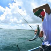 Les bienfaits relaxants de la pêche : Comment cela peut-il améliorer votre concentration pour la correction mémoire ?