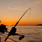 La Pêche en France : Un Paradis pour les Amateurs de Pêche