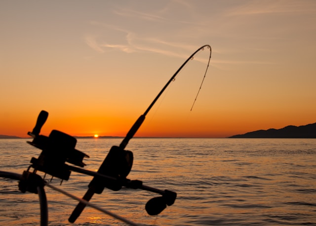 La Pêche en France : Un Paradis pour les Amateurs de Pêche